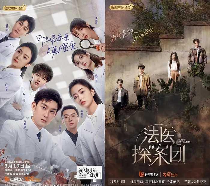 宁安如梦爆料新闻视频,揭秘新闻背后的真相  第2张