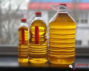 劣质食用油爆料标准最新,最新爆料标准曝光,食品安全警钟长鸣 第1张 劣质食用油爆料标准最新,最新爆料标准曝光,食品安全警钟长鸣 第1张